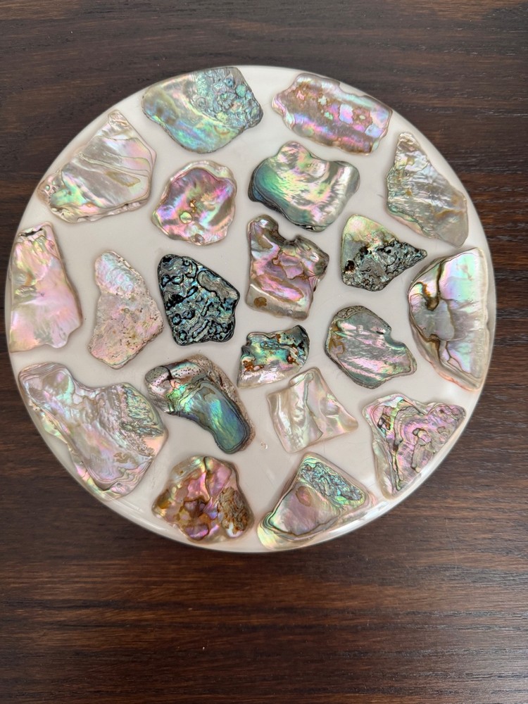 Vintage Lucite Abalone Sea Shell Trivet