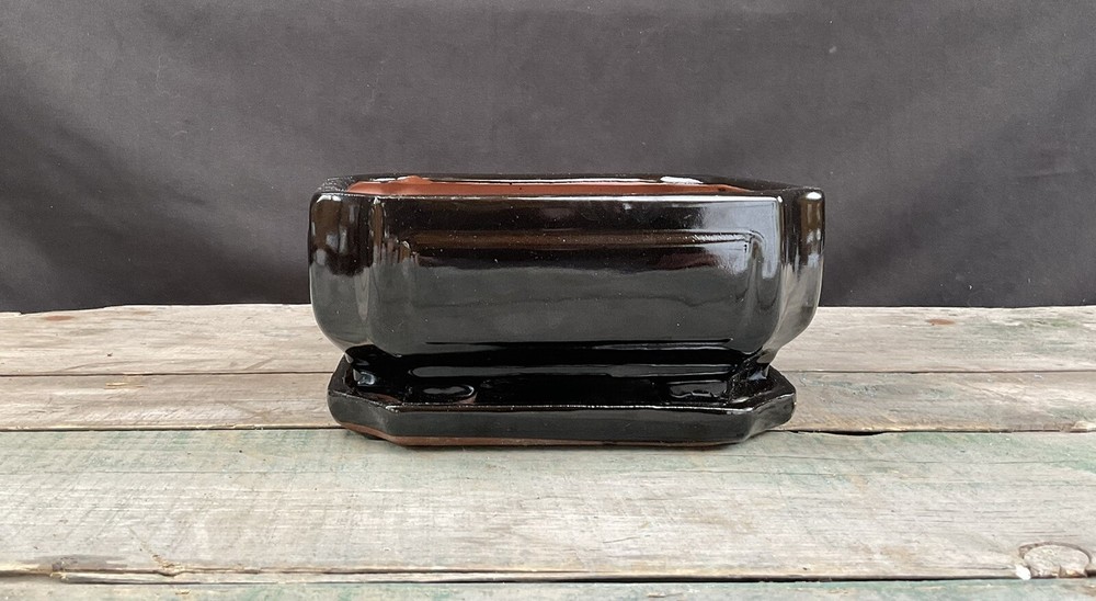 Glazed -Pro Bonsai Pot-w/Tray, Screen And Wire