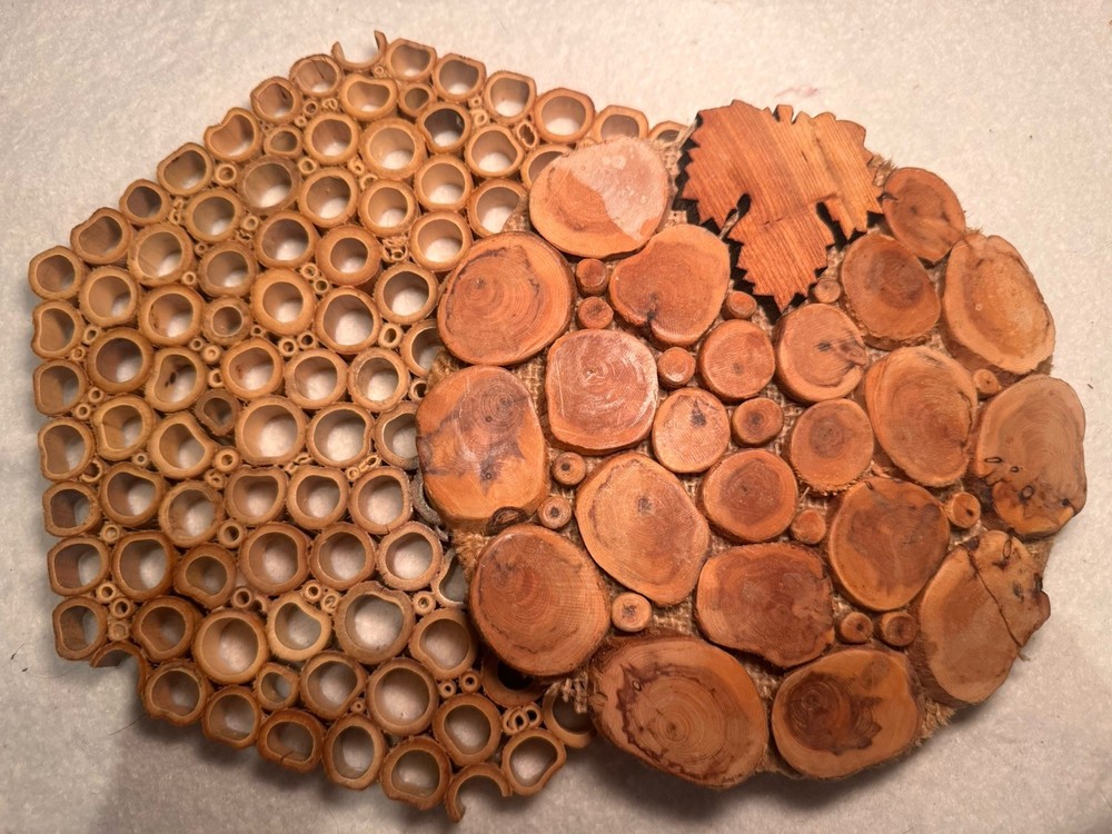 Vintage Boho Kitchen Trivet Set - Bamboo Slice & Rustic Wood Slice (Pair)