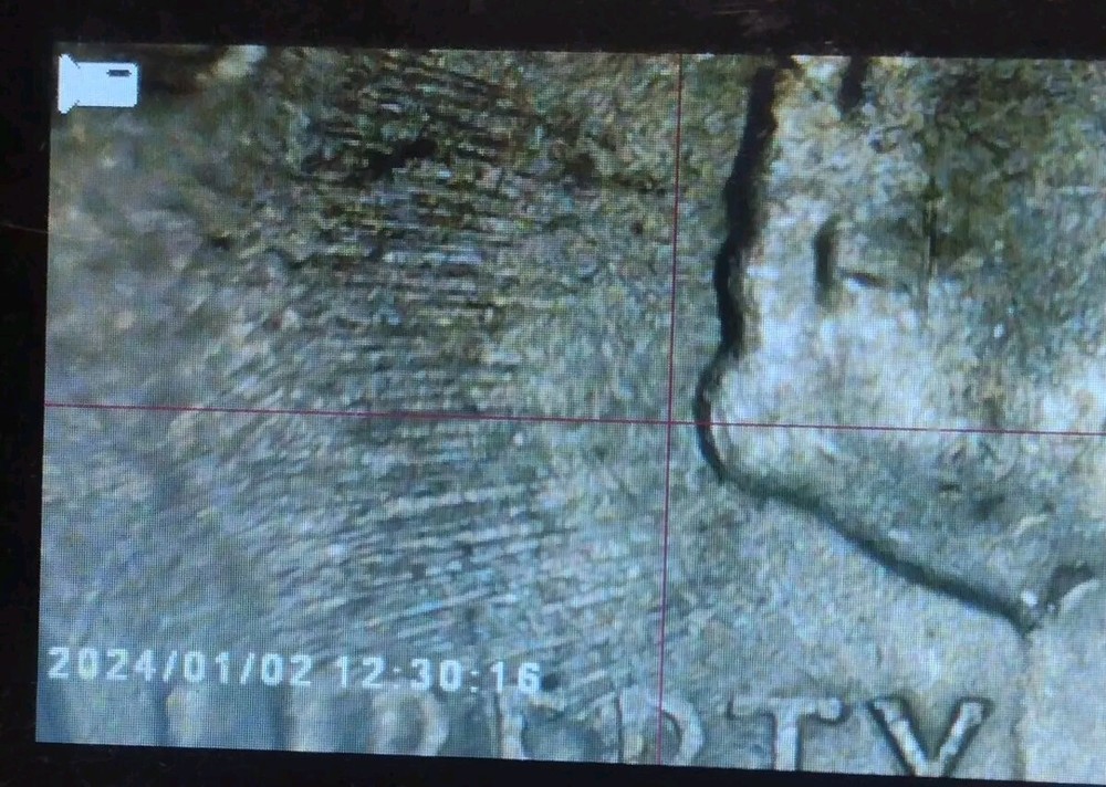 2015 Kisatchie Quarter Strike Thru Error