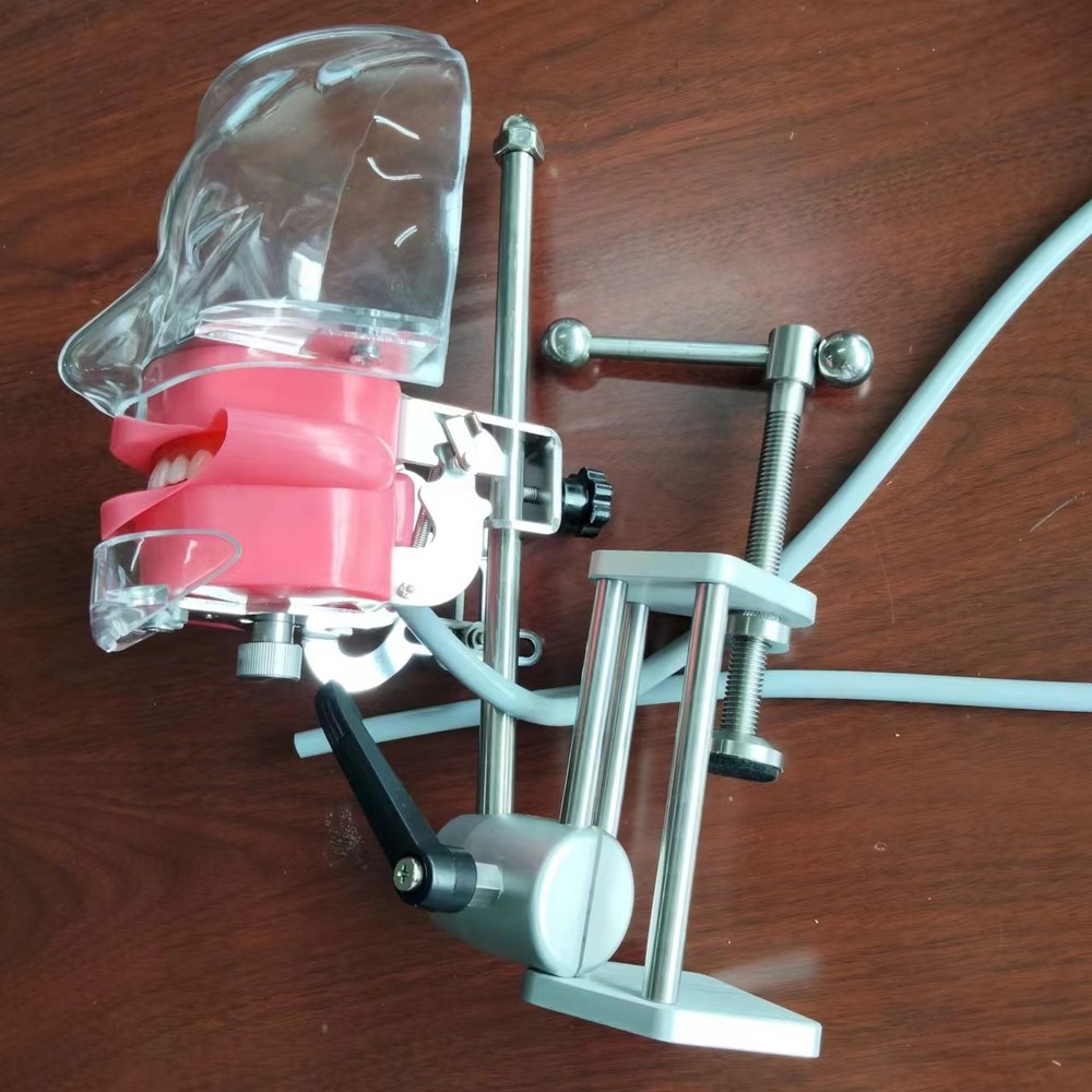 Dental Simulator Phantom Head Model Dental Preparation Support Display