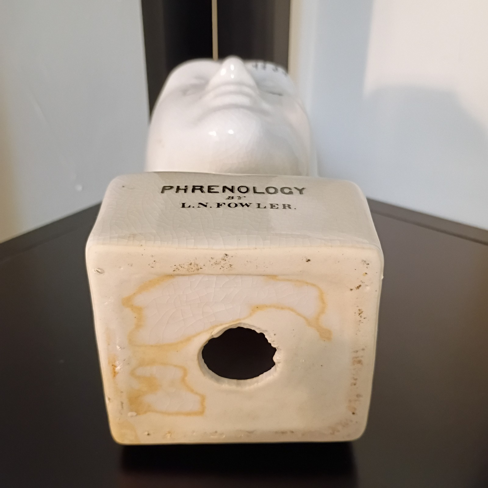 Porcelain L.N. Fowler Phrenology Scientific Psychology 8” Bust Head