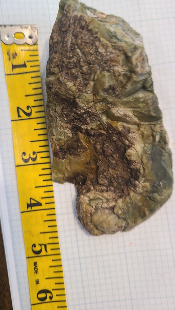 Rain Forest Jasper Rough