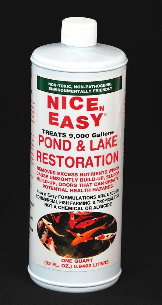 Pond/Lake Restoration Treatment