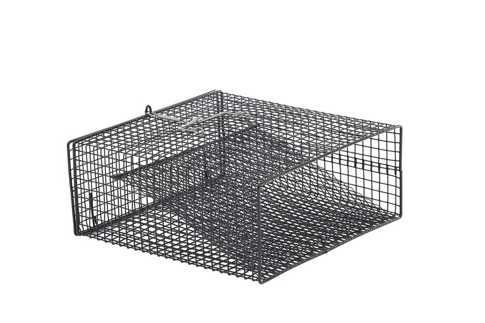 Flat-Bottom Crawfish Trap | Low-Profile Square Trap Specifically Designed for...