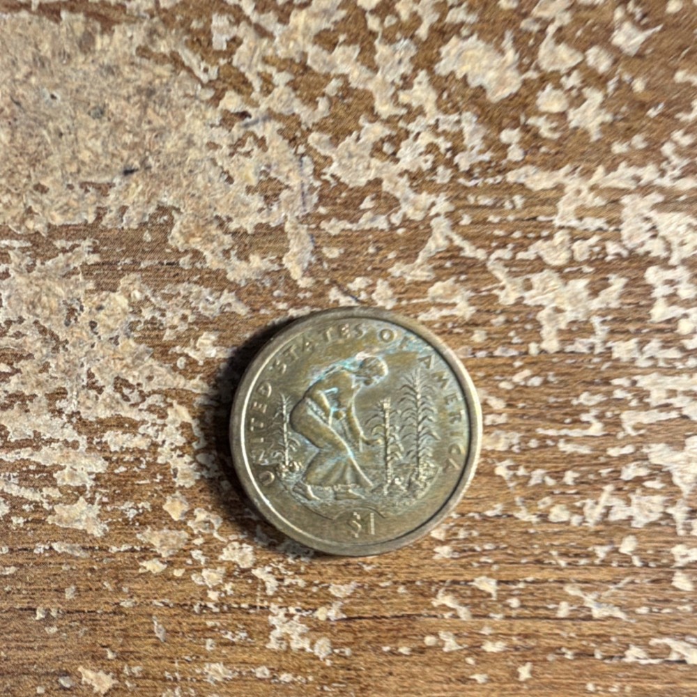 Native American Three Sisters $1 Dollar Coin