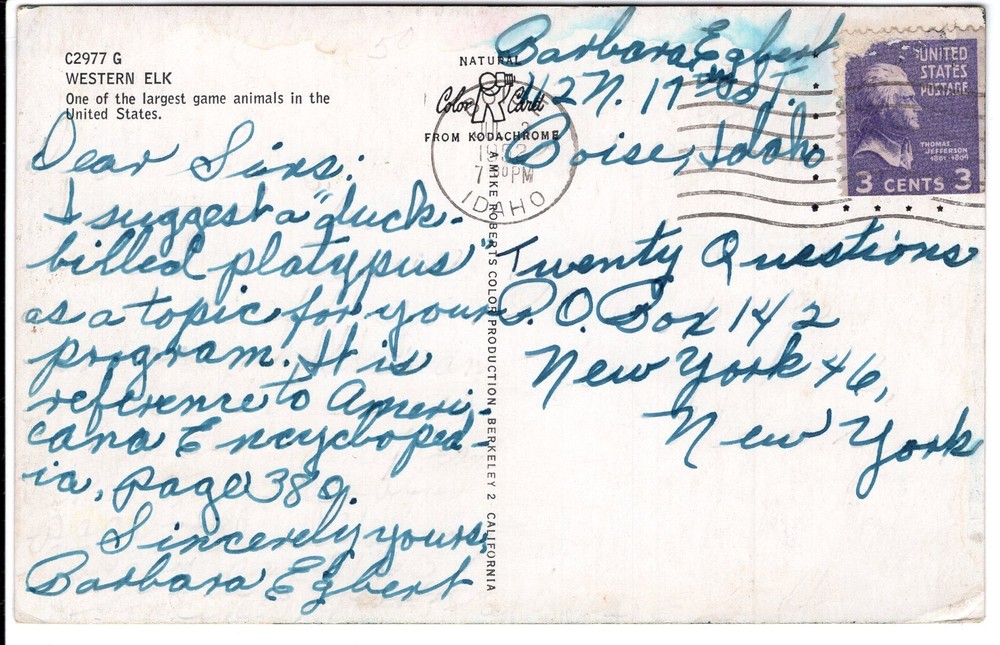 WESTERN ELK - PC2696