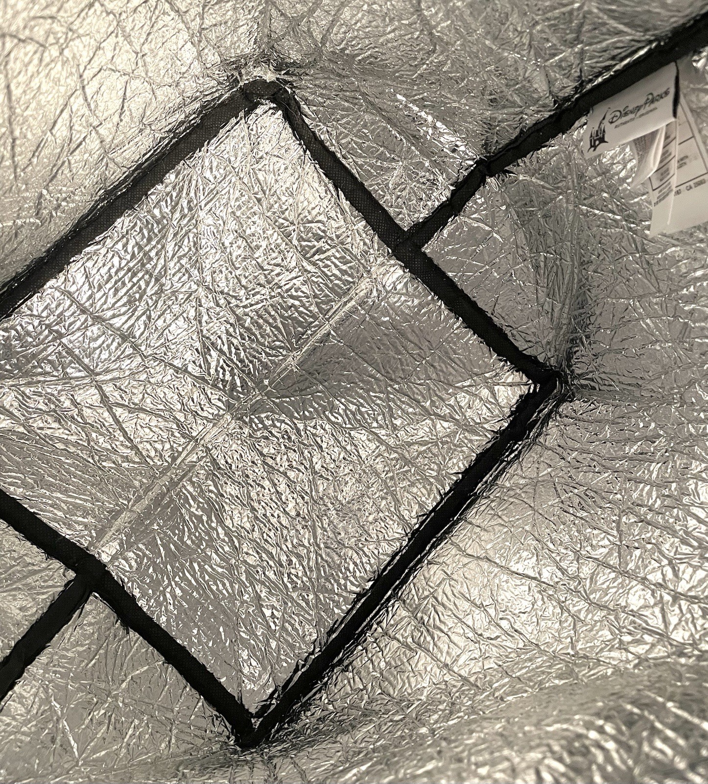 Walt Disney World Castle Blue Insulated Cooler Tote Bag