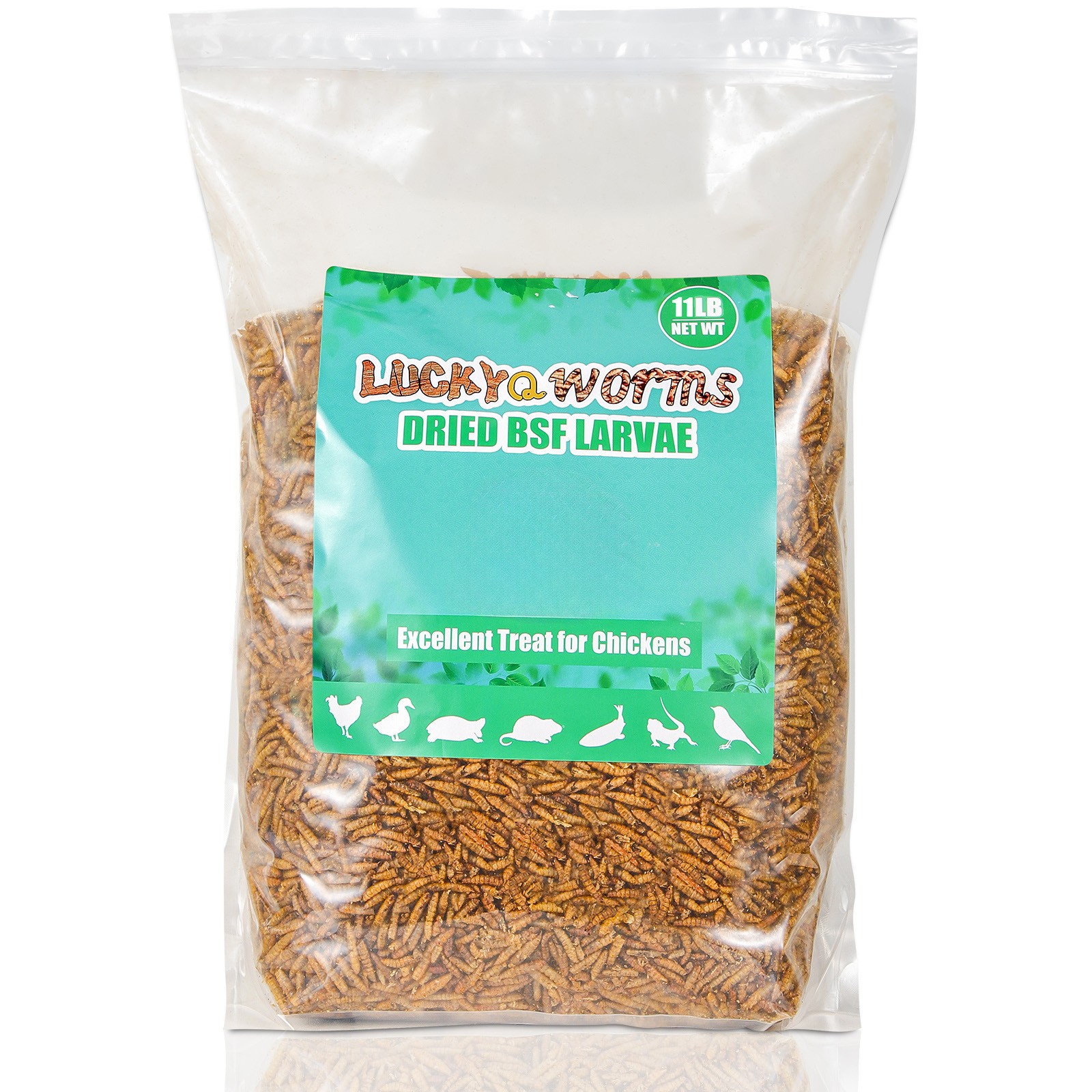 5-44LB Dried Black Soldier Fly Larvae for Chicken Feed Birds Treat Mealworm Lot