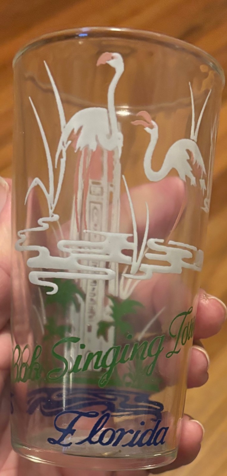 Vintage Bok Singing Tower Lake Wales Florida Souvenir Glass