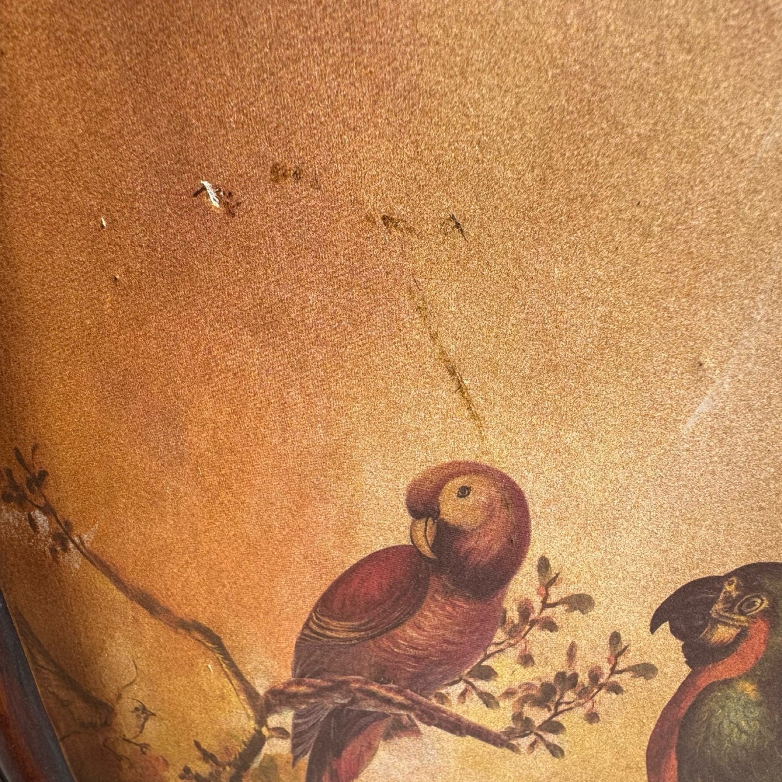 Tropical Parrots Decorative Iron Folding Screen Room Divider Painted Panel Birds