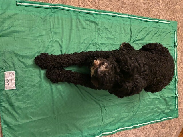 Animal Stretcher Blanket
