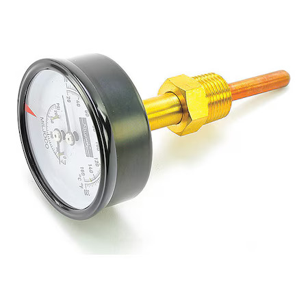 Raypak 007399F Gauge
