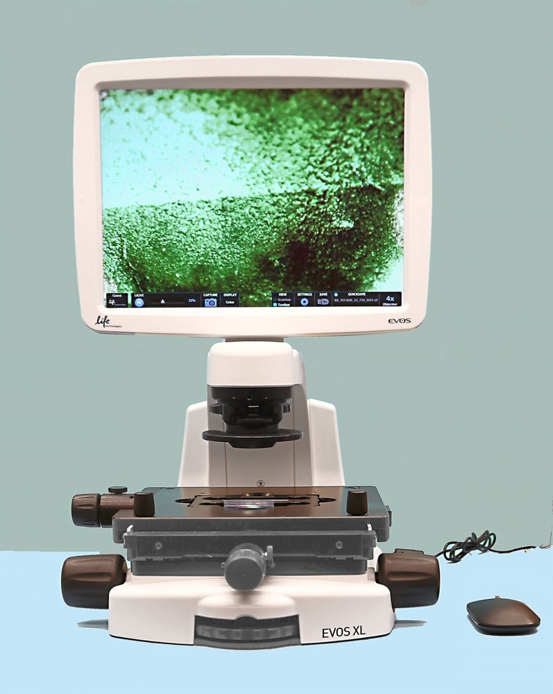 Invitrogen Life technologies AMG EVOS XL Phase Contrast Digital Microscope