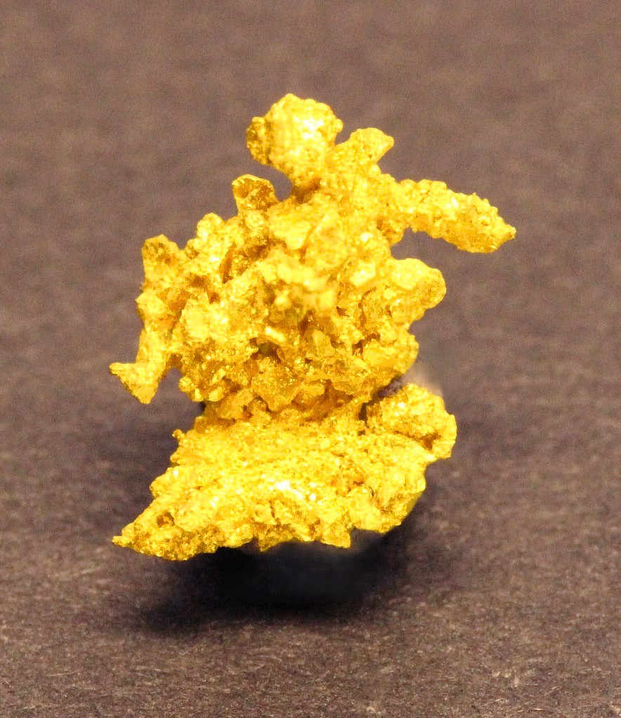Gold specimen Crystallized Gold 0.68 Gram Round Mtn. Mine Nye Co. NV
