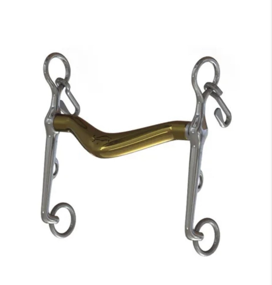 Neue Schule Turtle Tilt Weymouth.
