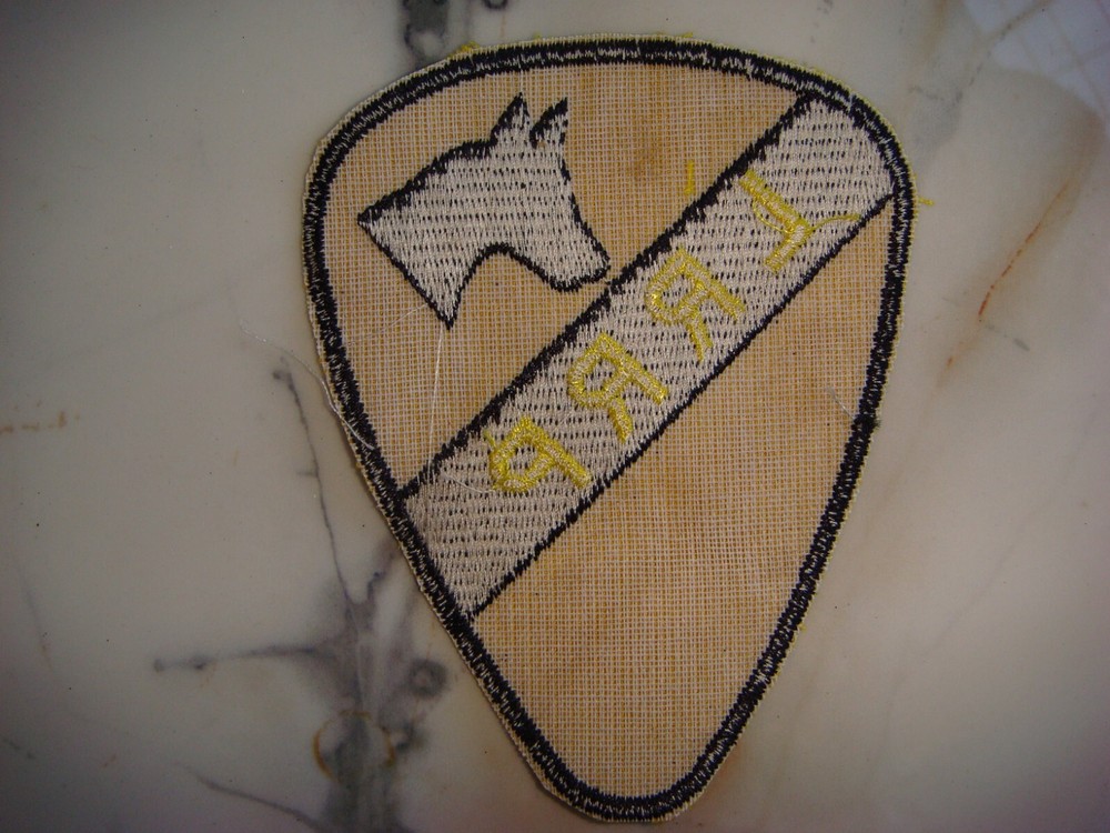 US LONG RANGE RECON PATROL - 1st CAVALRY DIVISION, VIETNAM WAR PATCH
