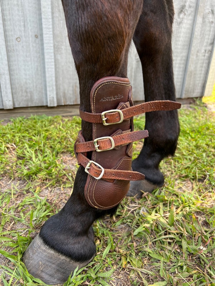 Antares Open Front Leather Equitation Boots