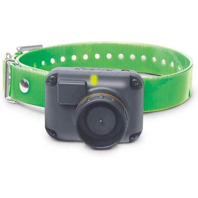 Dogtra T&B RX Green - 1.5 Miles - Additional Collar