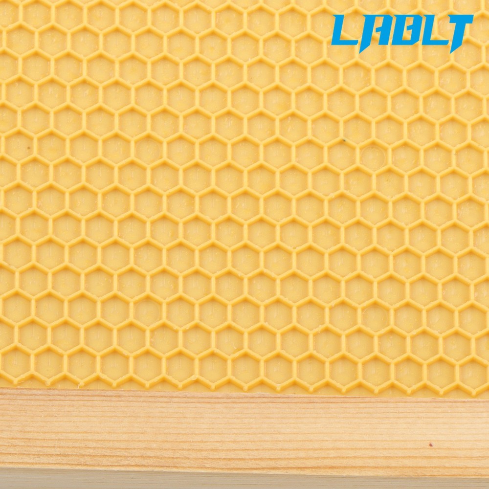 LABLT 4 Layer 10 Frame Bee Hive Box Include Frames and Beeswax Coated Foundation