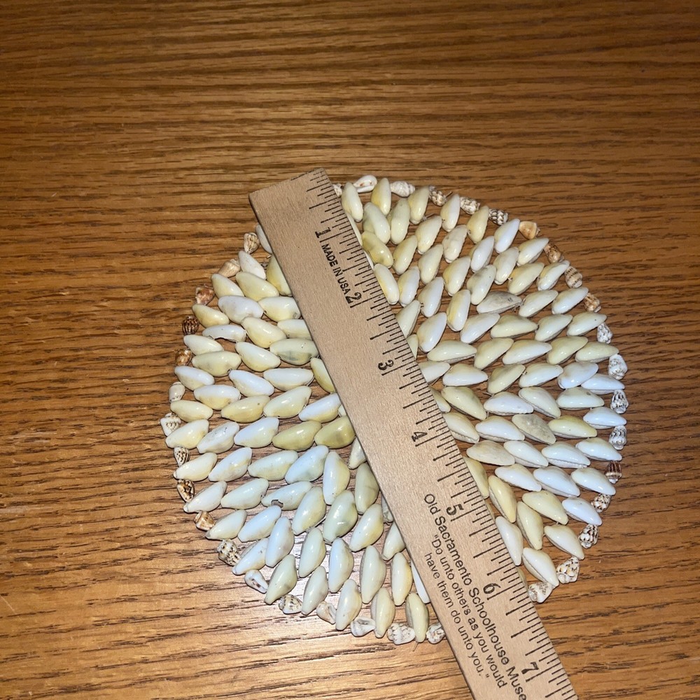 pooka shell large coaster beach decor
