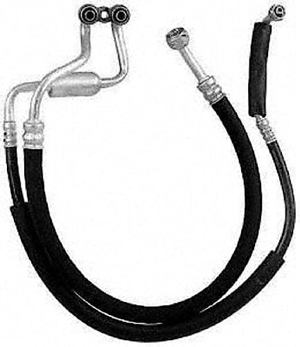 56250 Hose Assembly