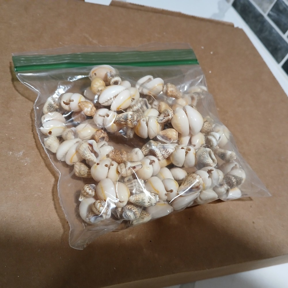 Broken Sea Shell Necklass With Small Holed SeaShells
