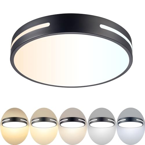 LED Ceiling Light Flush Mount 24W Kitchen Light Fixture Ceiling 12INCH Black