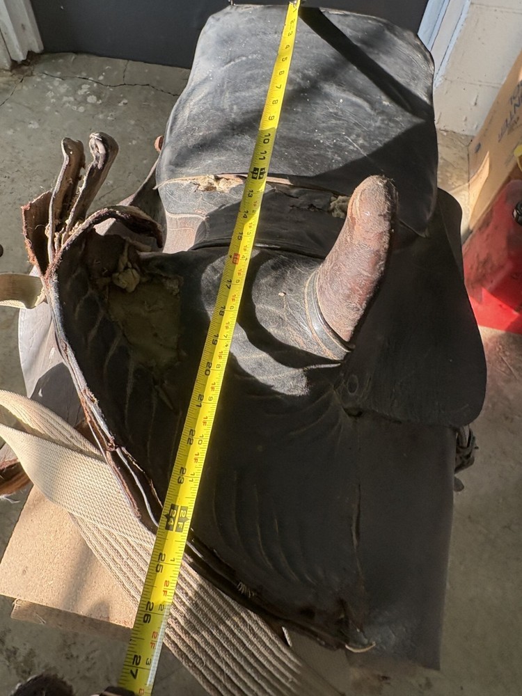 antique sidesaddle equestrian