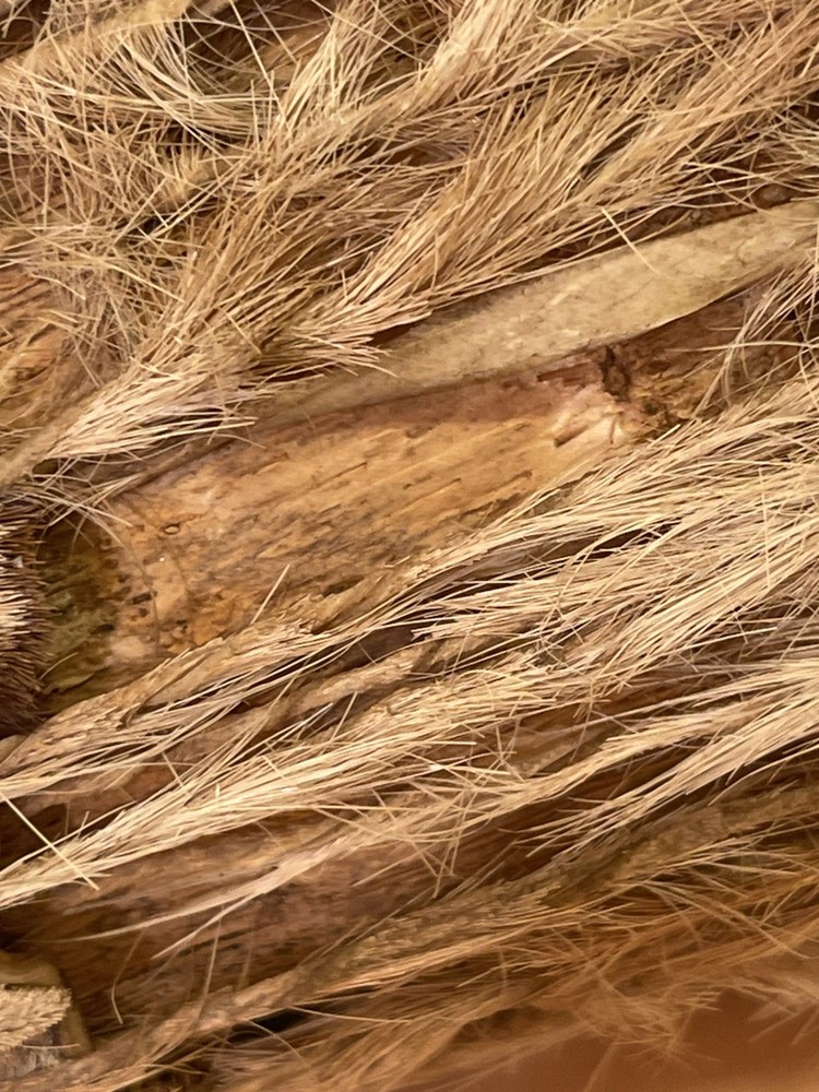 A small vintage hand drum