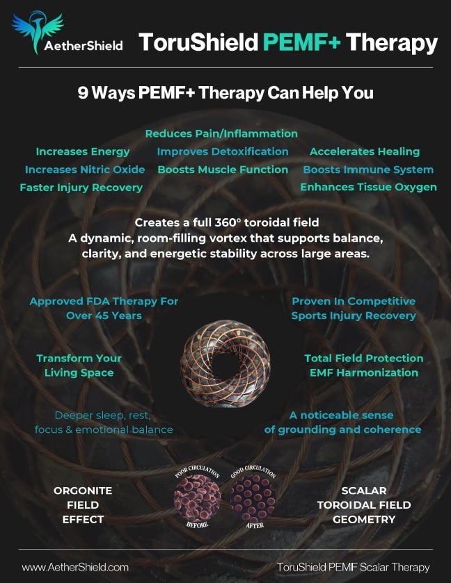 ToruShield PEMF Coil (22.8cm): This is PEMF, Scalar & Zero Point Geometry