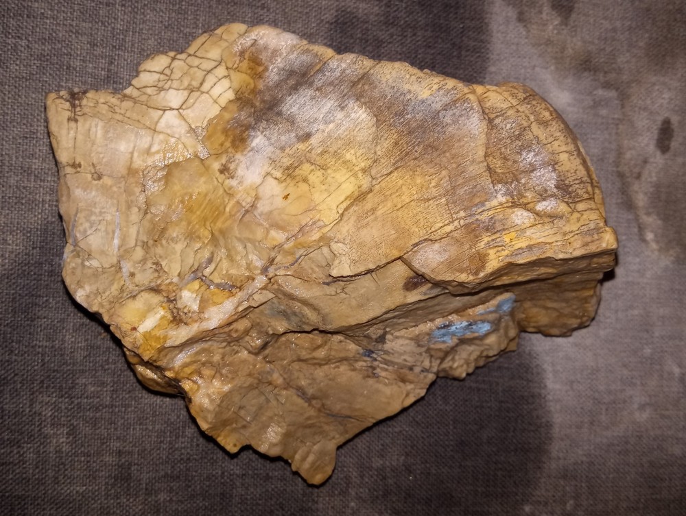 Petrified Wood Rough Crystals 4 lbs+ AZ