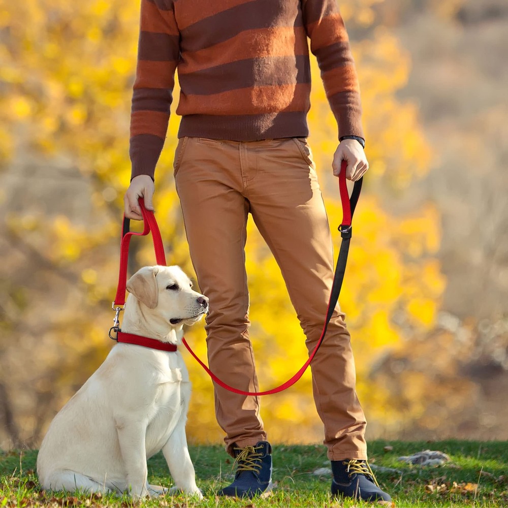 Double Handle Walking Traffic Air Mesh Leash for Control Training Dogs