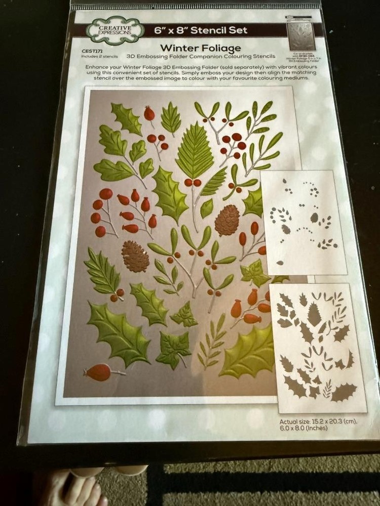 NIP Creative Expression 2 pc. 6" x 8" Stencil Set - WINTER FOLIAGE