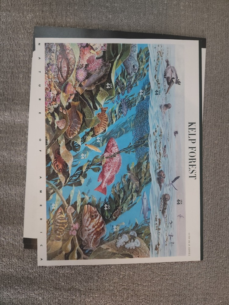 Stamp Collection From The 2000 And Up