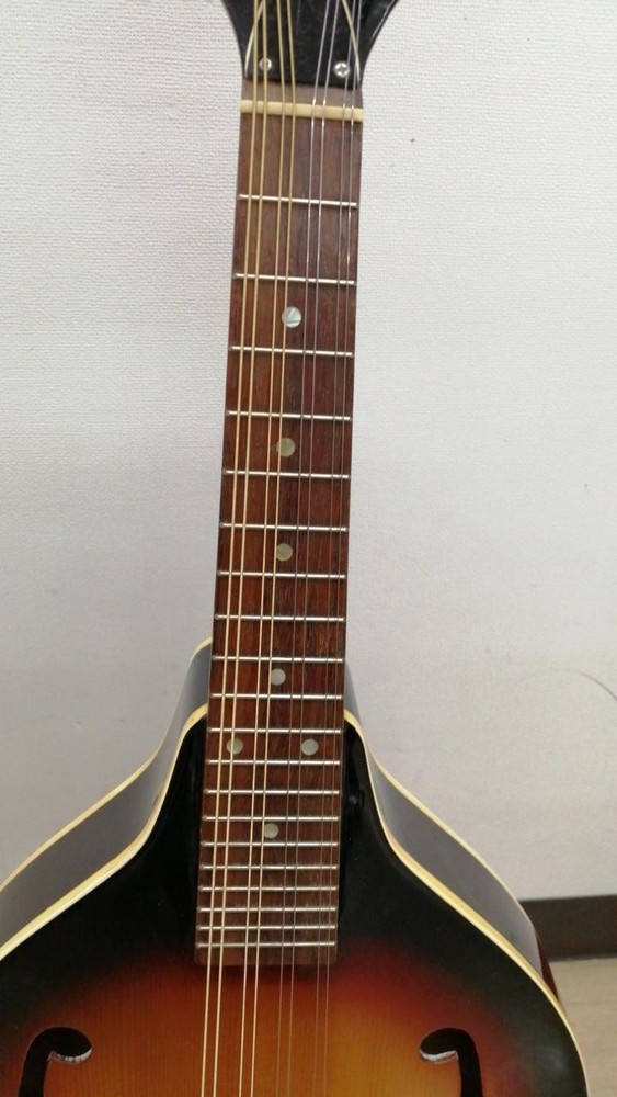 JAGARD Mandolin