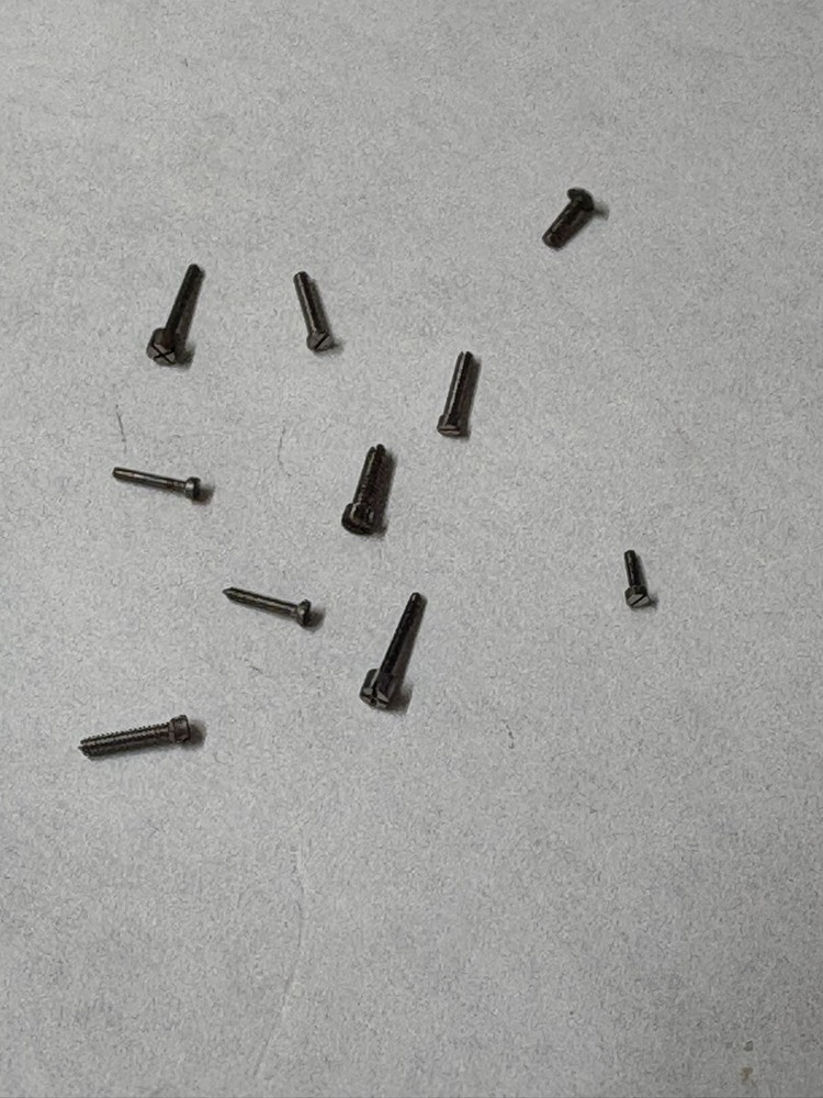 10 REGULATOR MICRO SCREWS MISC SIZES NOS --BB-1983