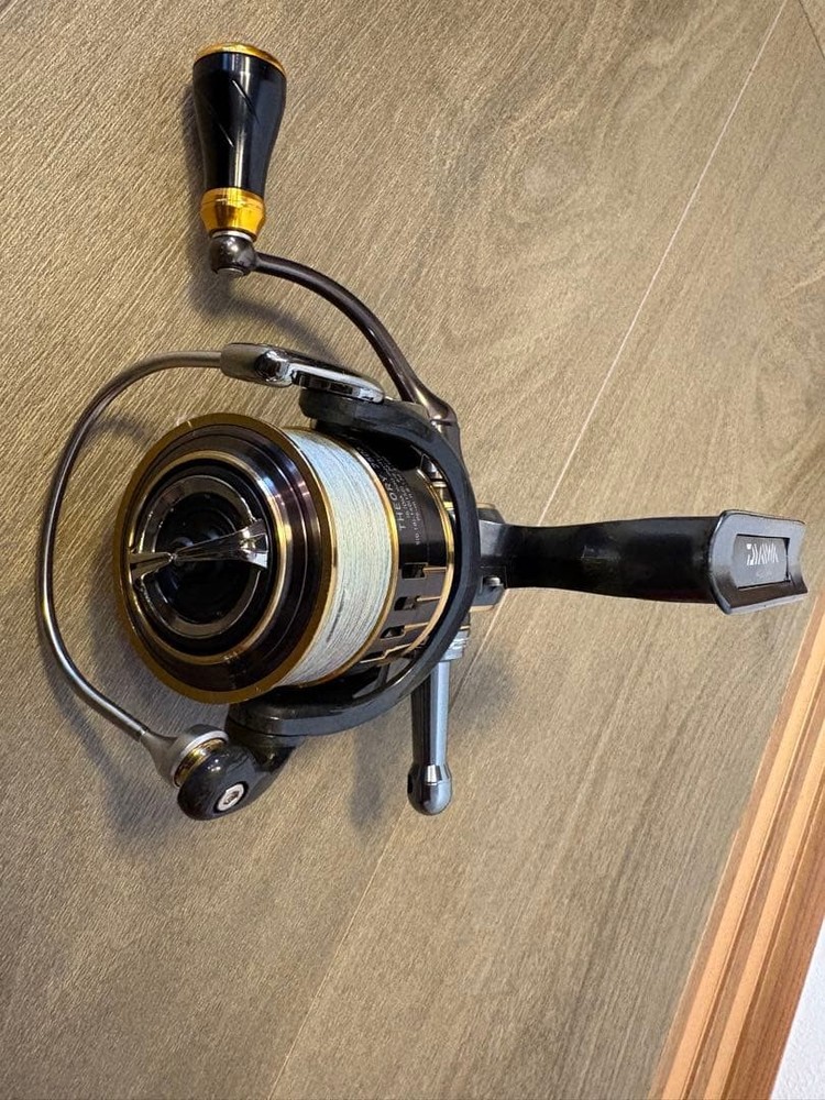 With Bonus Daiwa Theory 2506