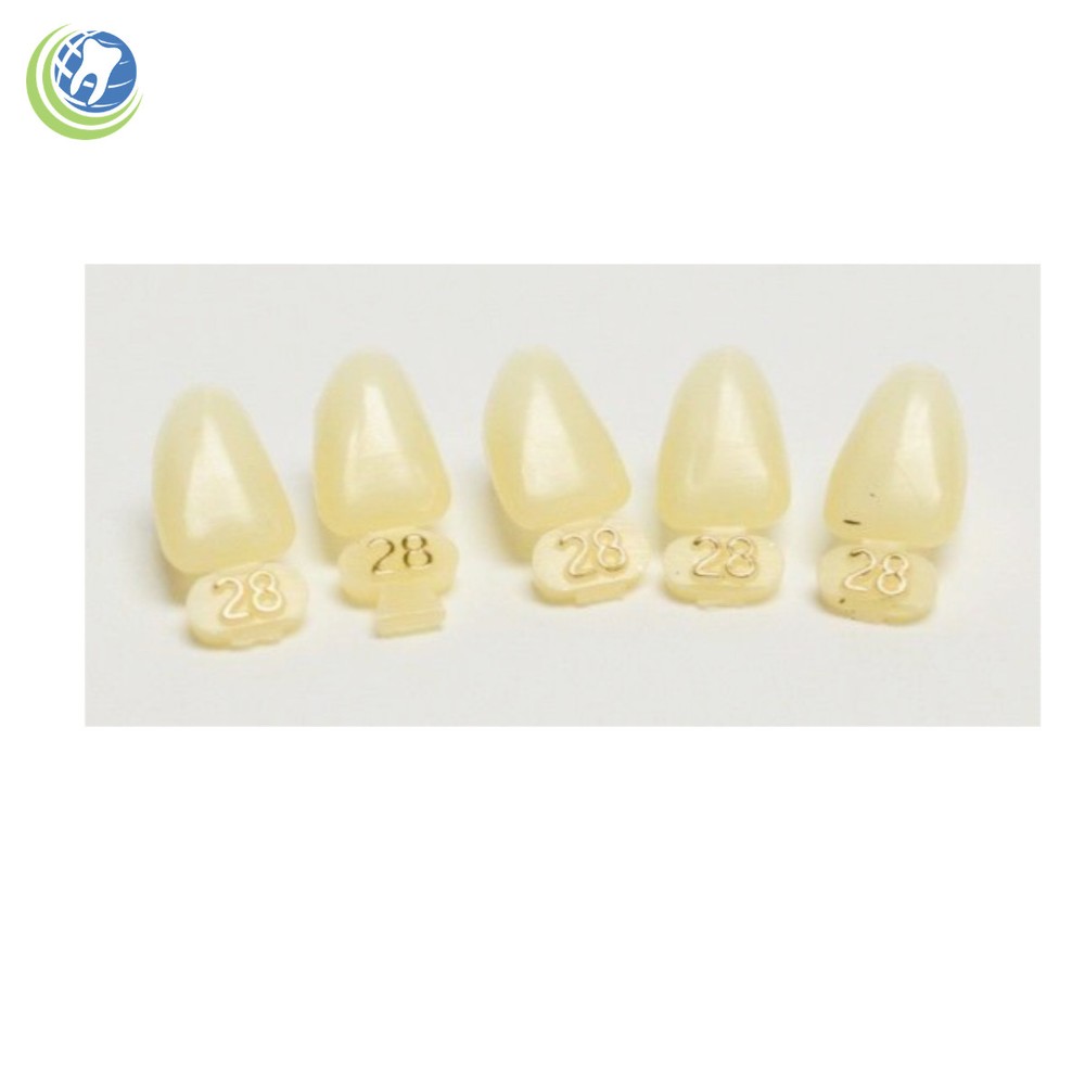 DENTAL POLYCARBONATE TEMPORARY CROWNS #28 (ULL) UPPER LEFT LATERAL 5/PACK