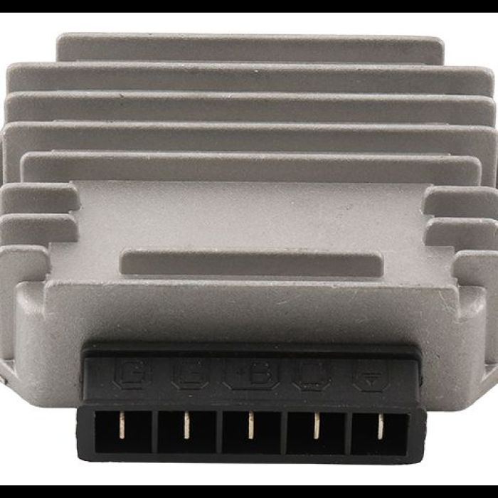 WILDBOAR WILDBOAR REGULATOR 230-42036