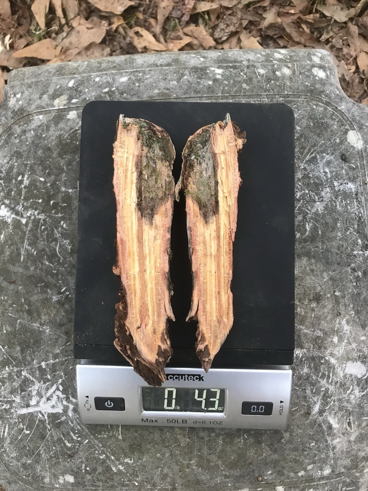 10 FIRE BOOSTERS! These are Fatwood Lighter Knots. 1.13 lbs Total Weight.