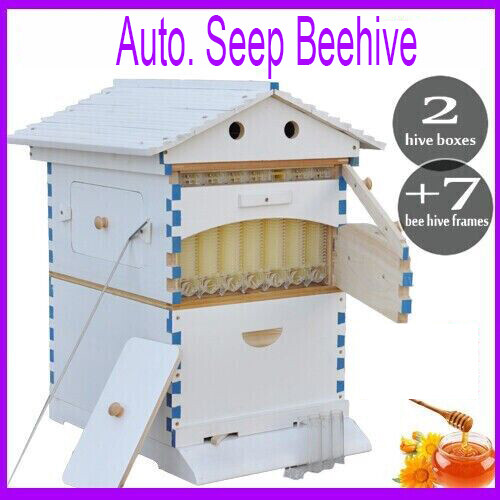 Painted Auto Langstroth Bee Hive Boxes Beekeeping Hives House 7x Bee Frames New