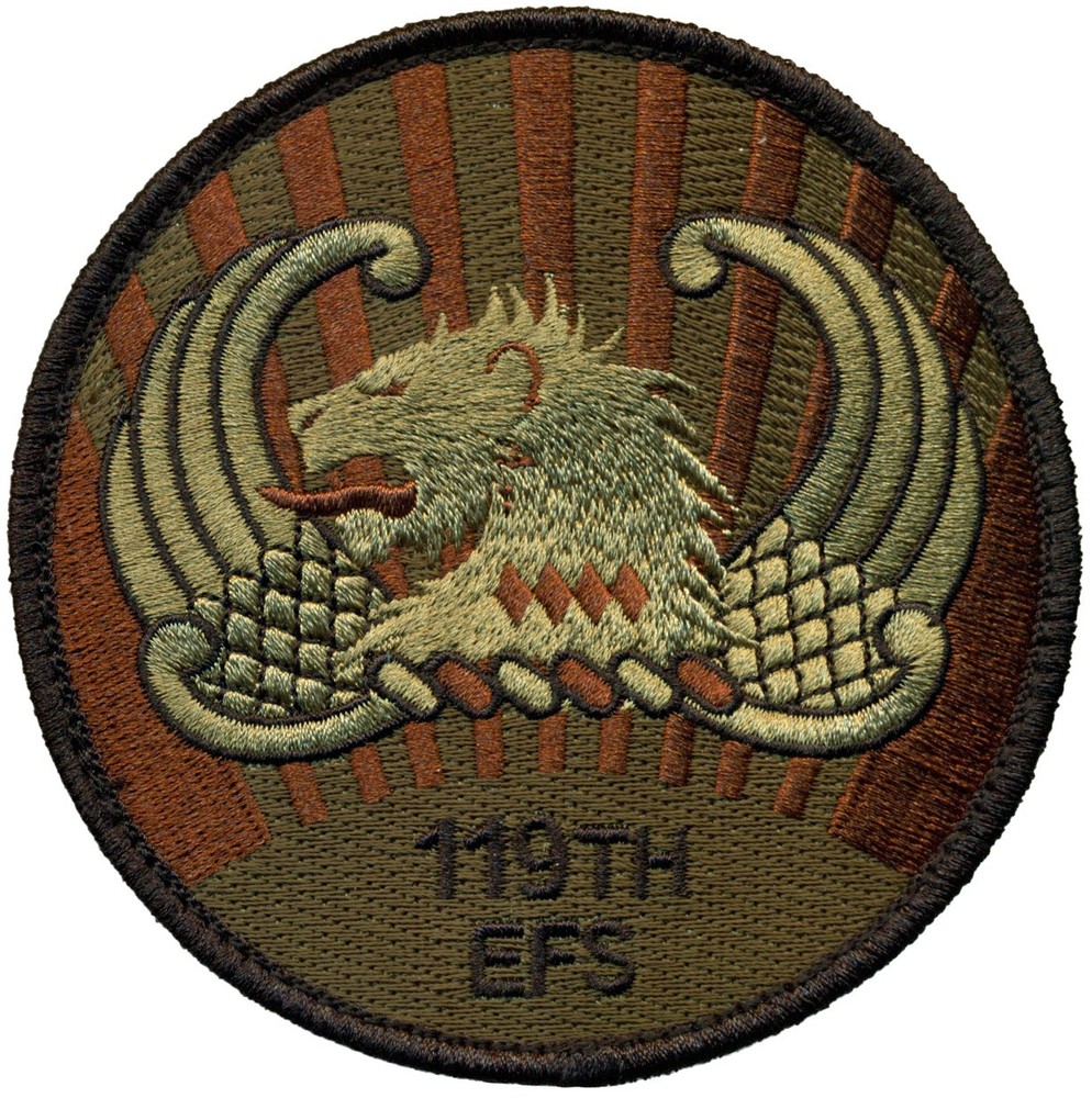 USAF 119th EXPEDITIONARY FIGHTER SQUADRON PATCH - OCP
