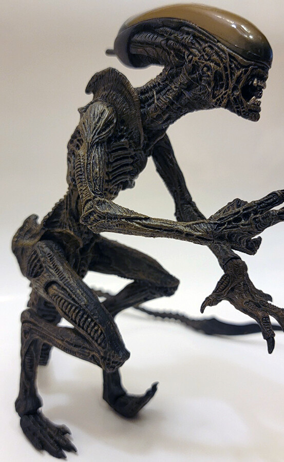 Alien VS Predator Posable Alien Figure 7” Action Figure
