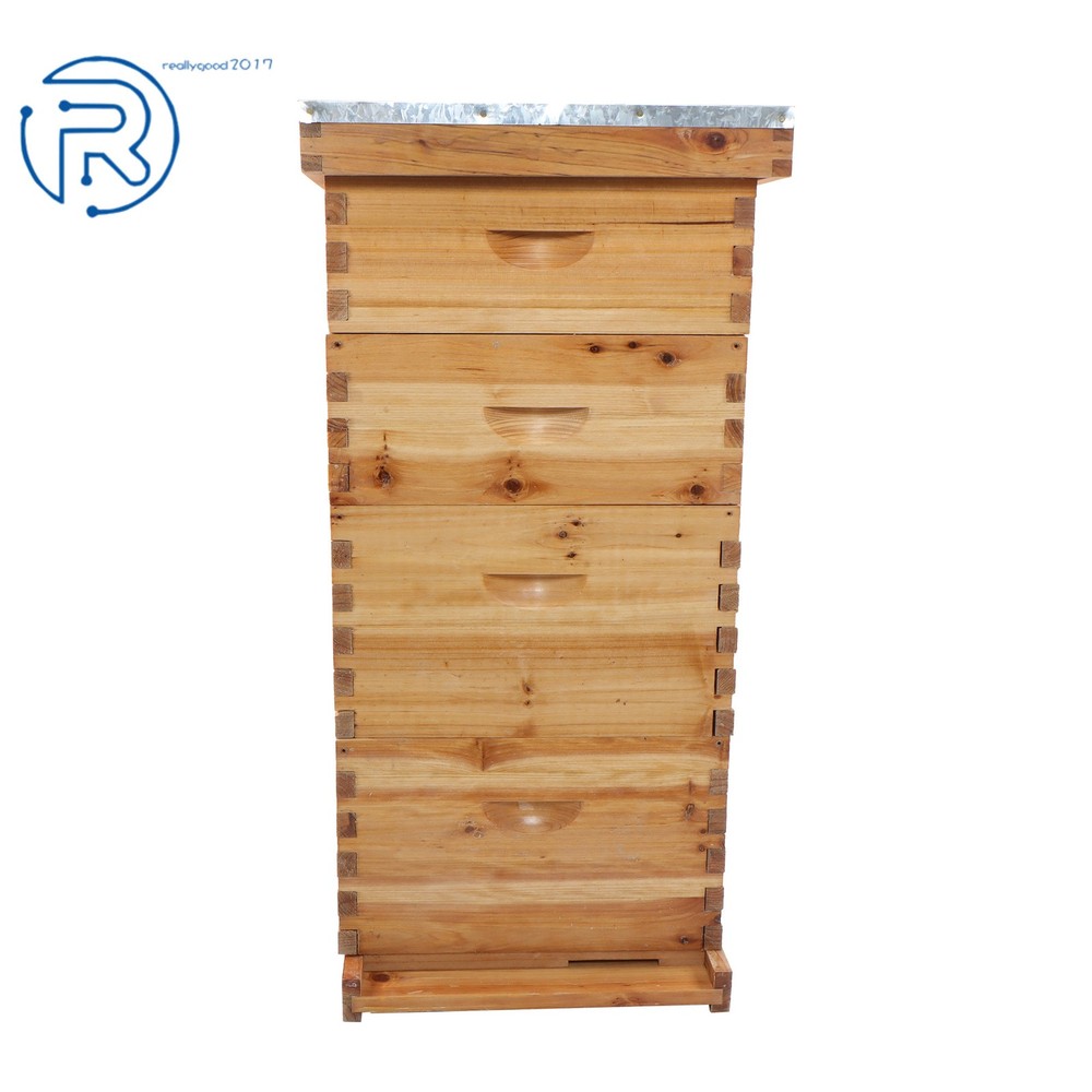 Beeswax Coated 4 Layer 10 Frame Bee Hive Includes Beehive Frames and Foundations
