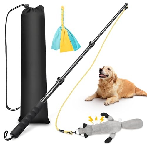Dog Flirt Pole, Retractable Teasing Stick with Lure, Interactive Dog 40 Inch