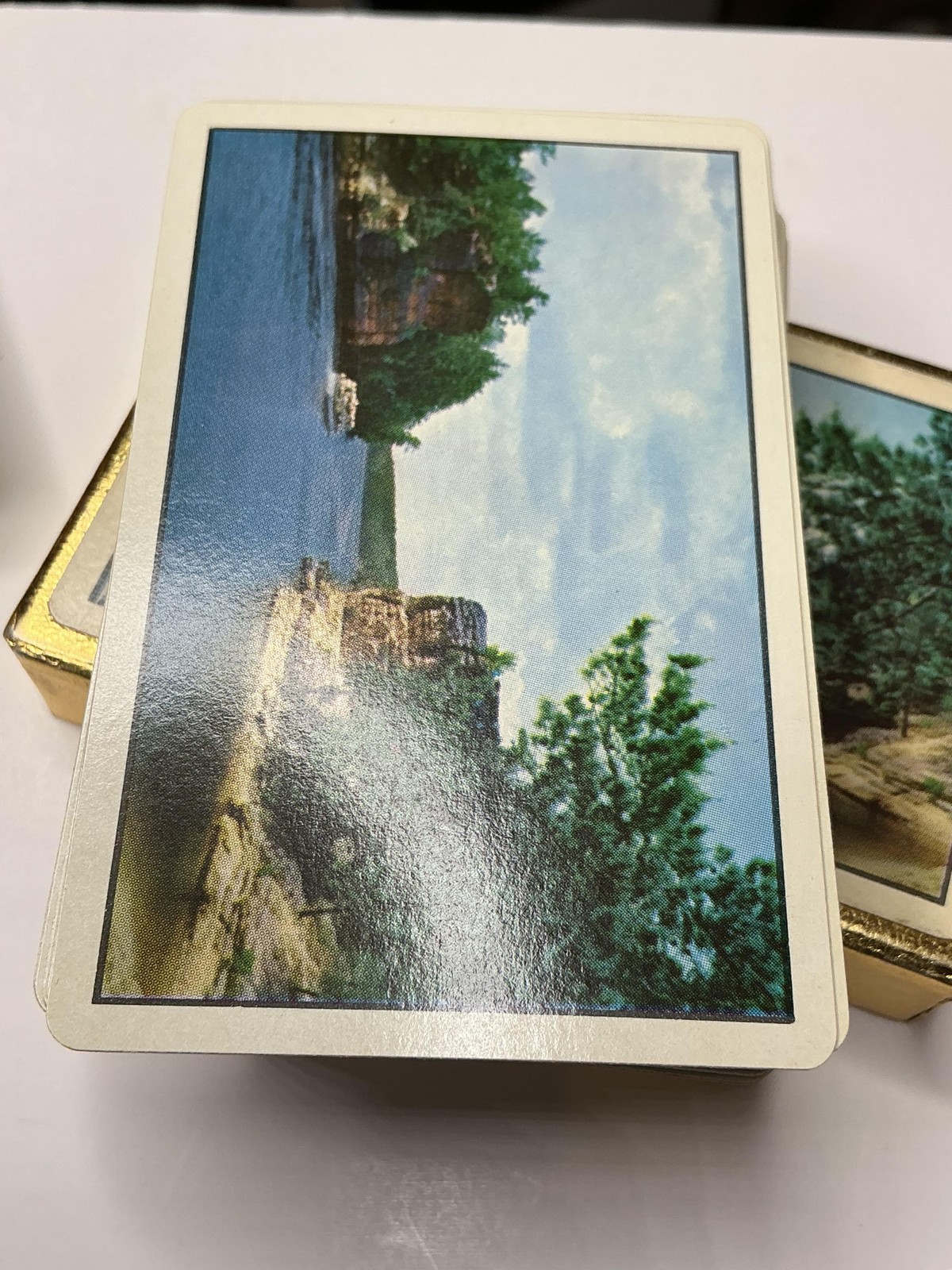 Vintage Beautiful Wisconsin Scenic Souvenir Playing Cards Deck Gold Box