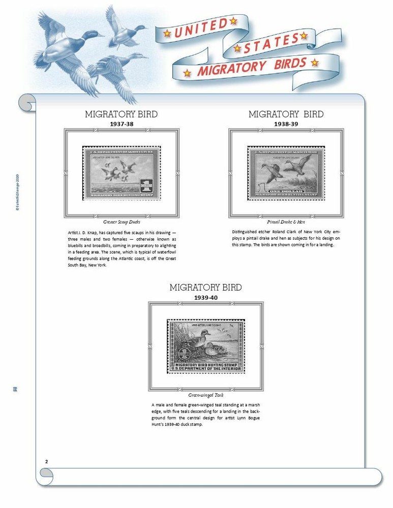 U.S. Federal Duck Stamps Supplement 1934 - 2024 (White Ace Alternative) (No Jr.)