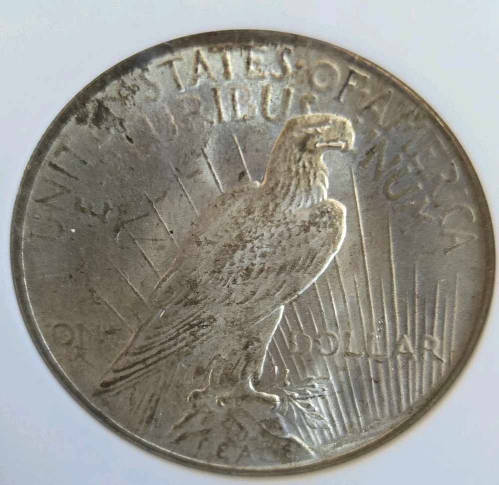 1925 Peace Dollar NGC Certified MS64