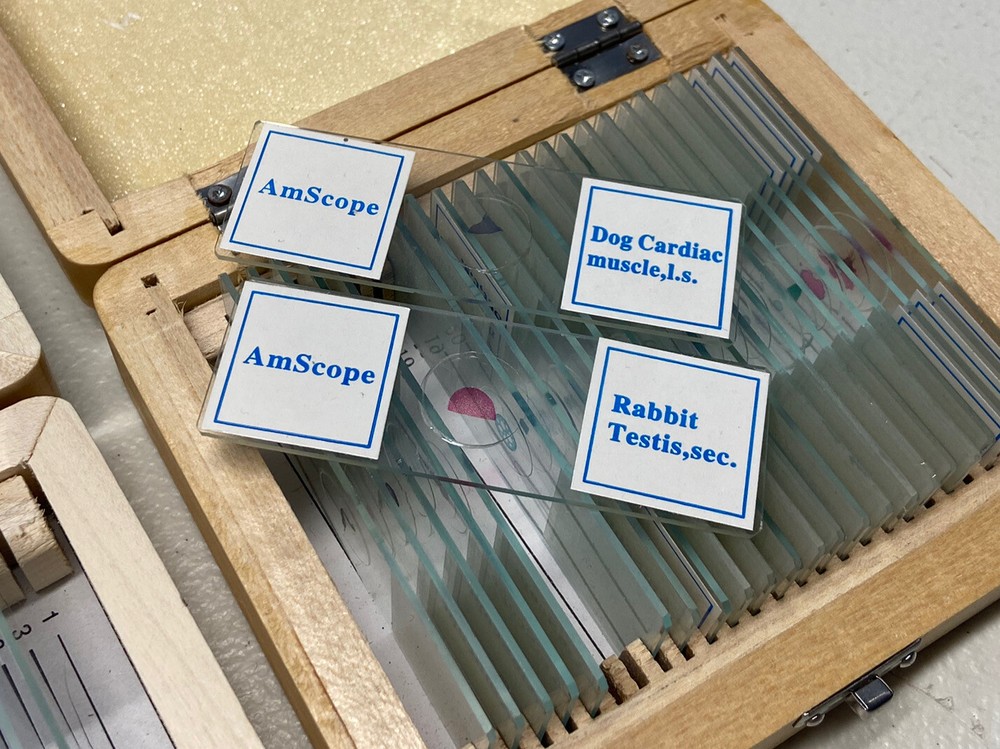 Amscope 49 PreparedMicroscope Slides In 2 Boxes